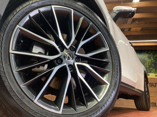 LEXUS NX350h