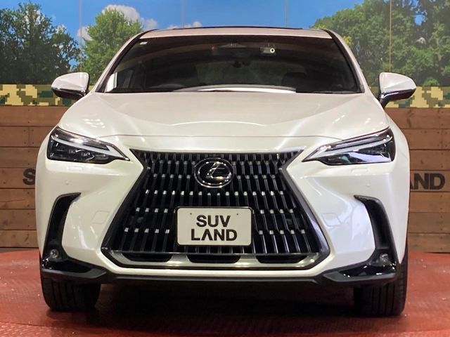 LEXUS NX350h