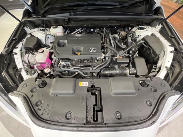 LEXUS NX350h