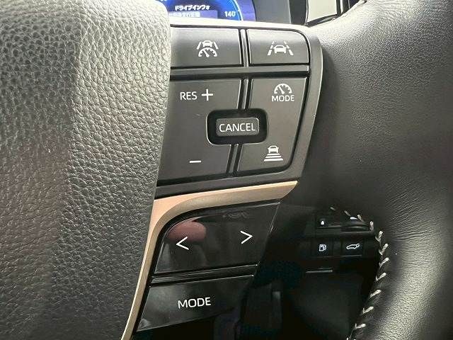 CROWN SPORT