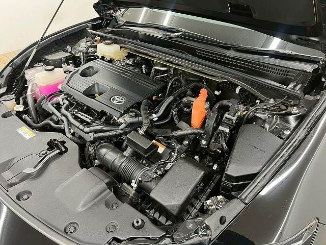 CROWN SPORT
