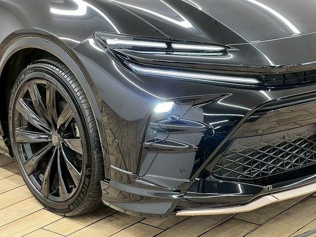 CROWN SPORT