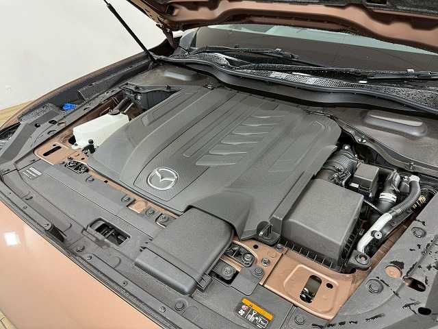 CX-80