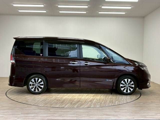 SERENA  S-HYBRID