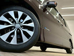 SERENA  S-HYBRID