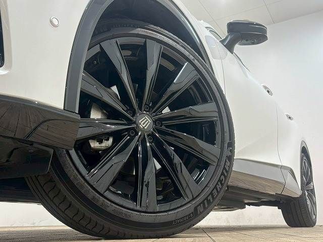 CROWN SPORT