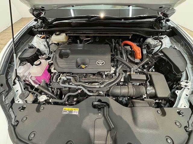 CROWN SPORT