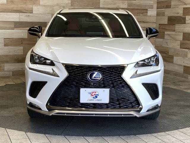 LEXUS NX300h