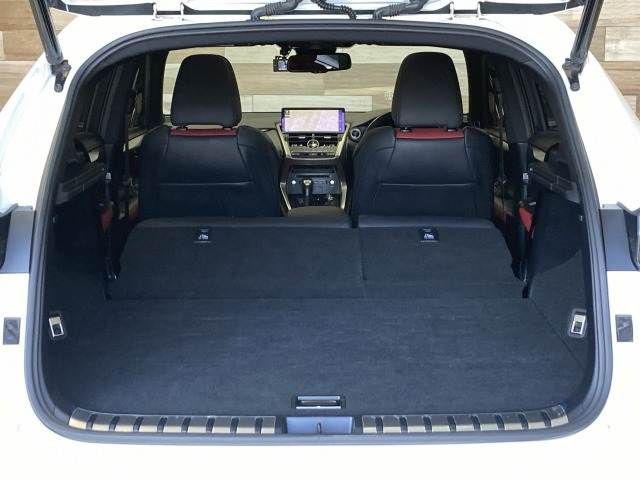 LEXUS NX300h