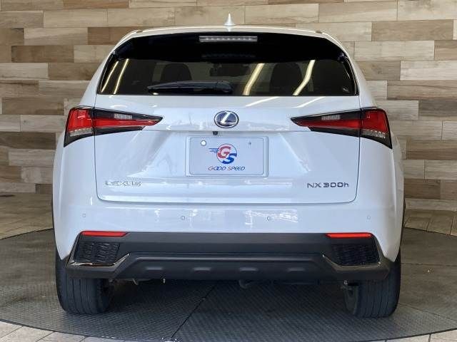 LEXUS NX300h