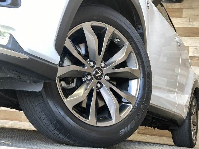LEXUS NX300h