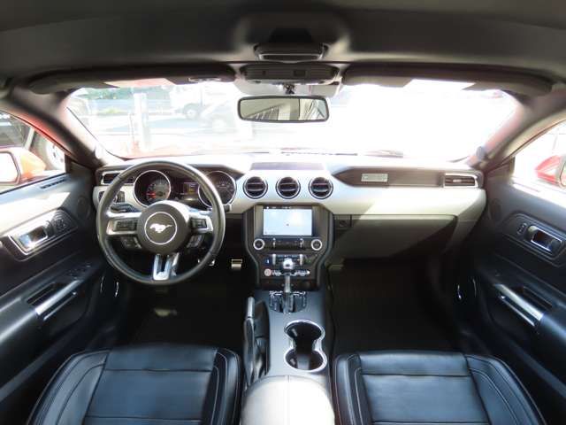 FORD MUSTANG open