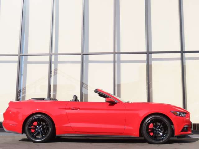 FORD MUSTANG open