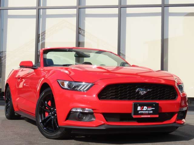 FORD MUSTANG open