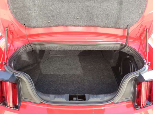 FORD MUSTANG open
