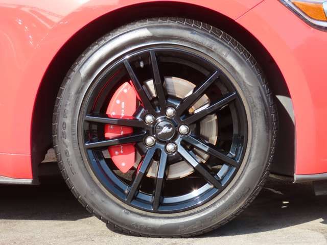 FORD MUSTANG open