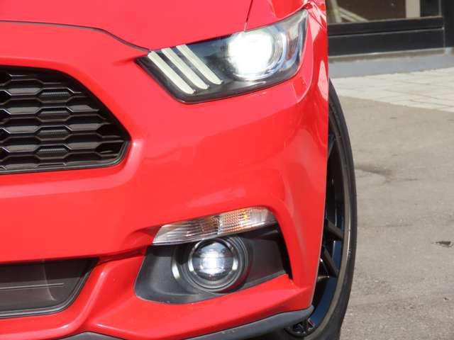 FORD MUSTANG open