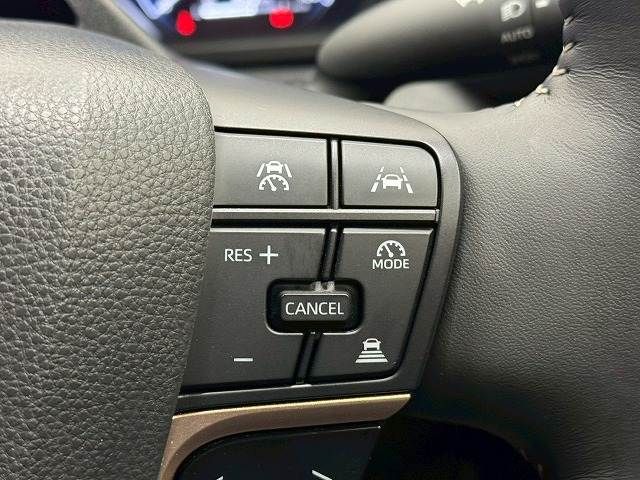 CROWN SPORT