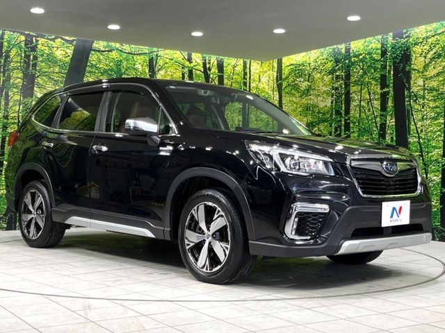 FORESTER