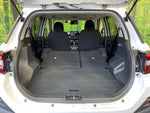 RAIZE HYBRID