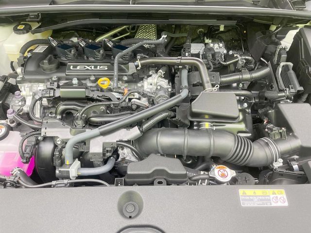 LEXUS LBX