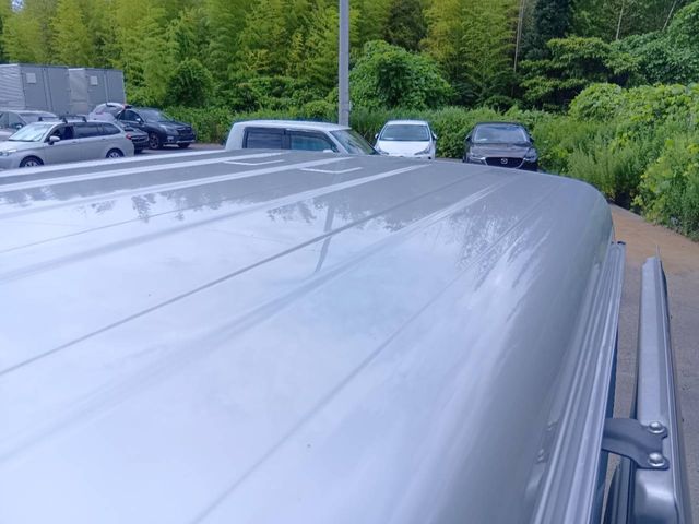 EVERY van