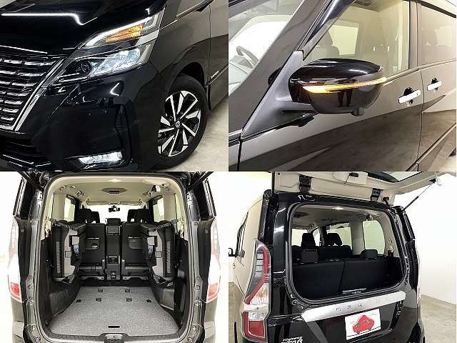 SERENA  S-HYBRID