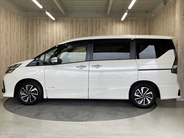 SERENA  S-HYBRID