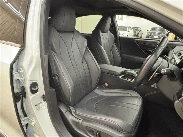 LEXUS ES300h