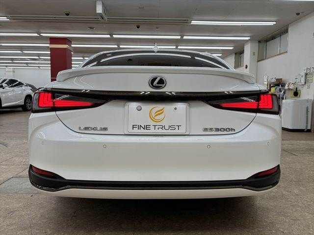 LEXUS ES300h