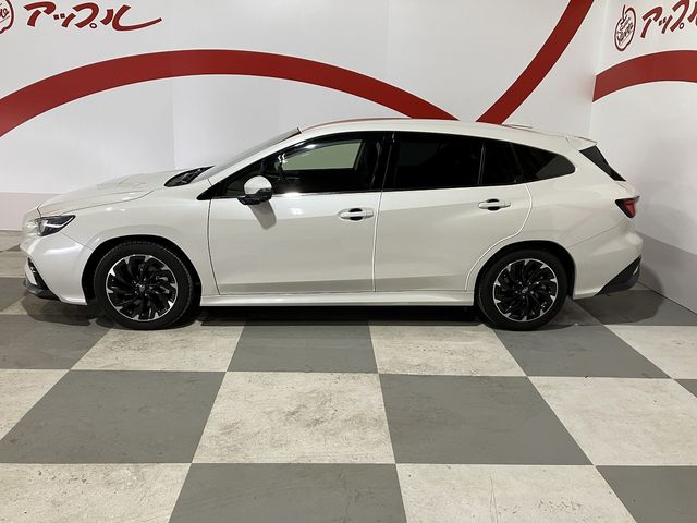 LEVORG