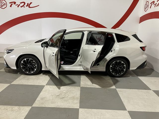 LEVORG