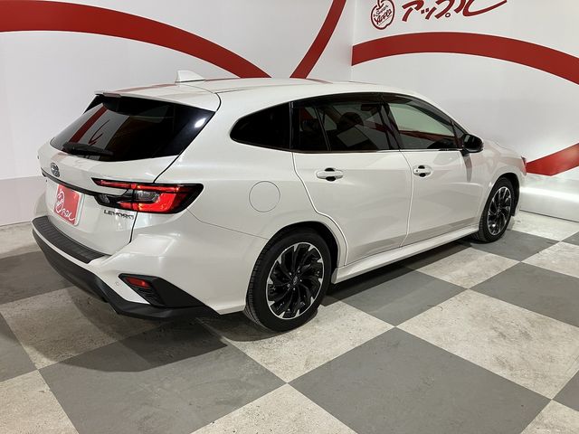 LEVORG
