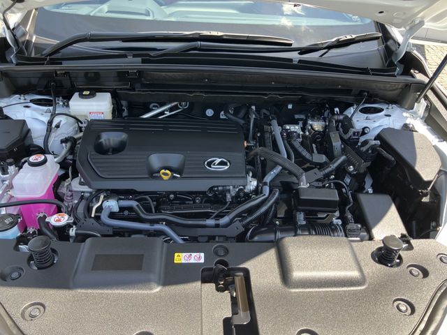 LEXUS NX350h