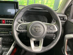 RAIZE HYBRID