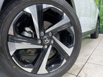 RAIZE HYBRID