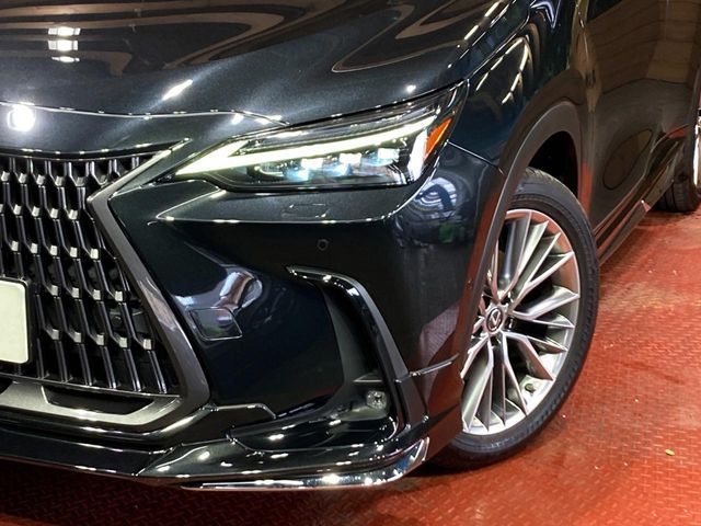 LEXUS NX350h