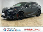 LEXUS RX500h