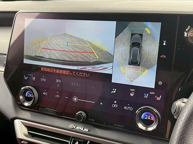 LEXUS RX500h