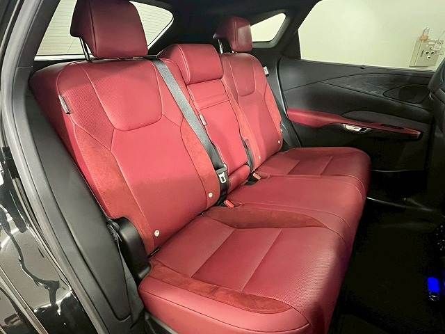 LEXUS RX500h