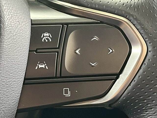 LEXUS RX500h