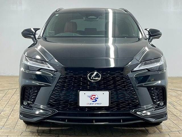 LEXUS RX500h