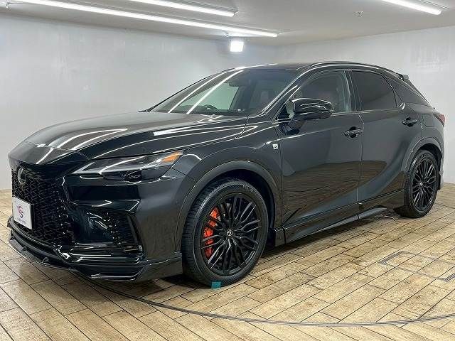 LEXUS RX500h
