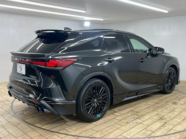 LEXUS RX500h