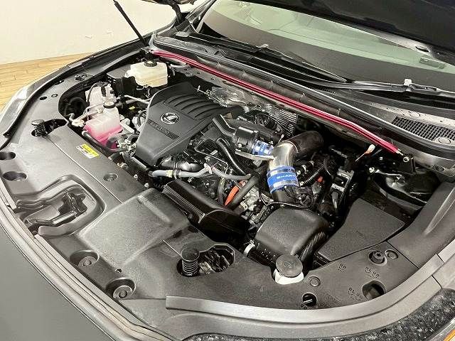 LEXUS RX500h