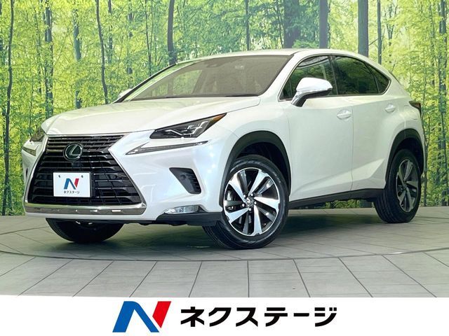LEXUS NX300