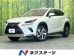 LEXUS NX300
