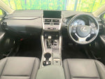 LEXUS NX300