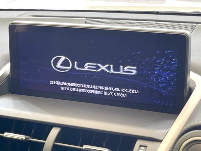 LEXUS NX300