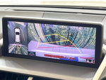 LEXUS NX300